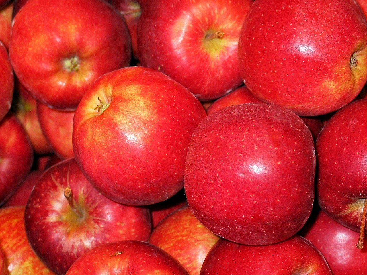 Golden Apple prepared for commercial supply